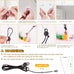 cat toys 2 pack 3 in 1 interactive indoor kitten toys suction cup detachable feathers balls mice