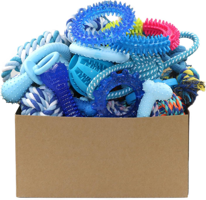 Beiker 20 Pack Blue Rubber Puppy Chew Toys with Teething Rings and Ropes for Small Breed Dogs