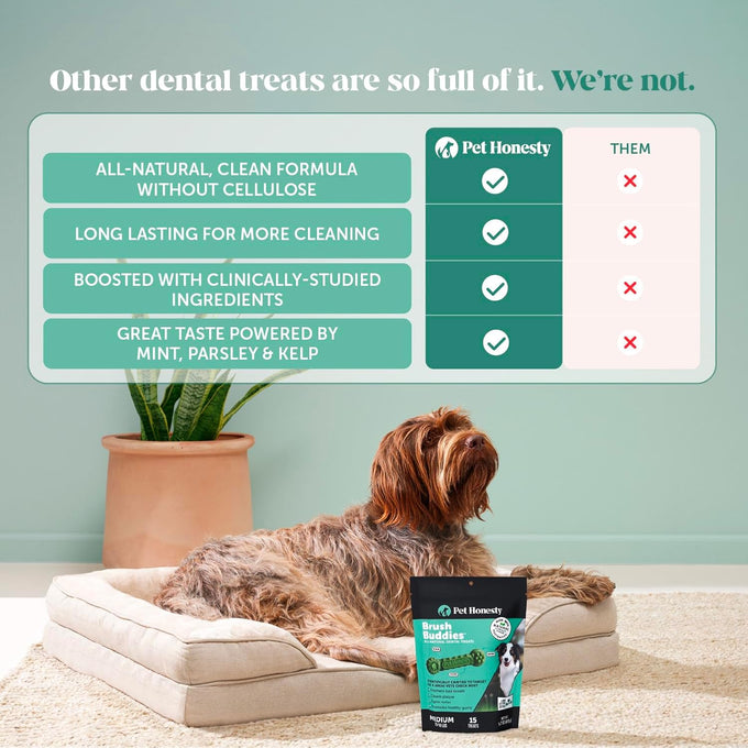 Pet Honesty Brush Buddies All Natural Dog Dental Treats, Long Lasting, Teeth Cleaner