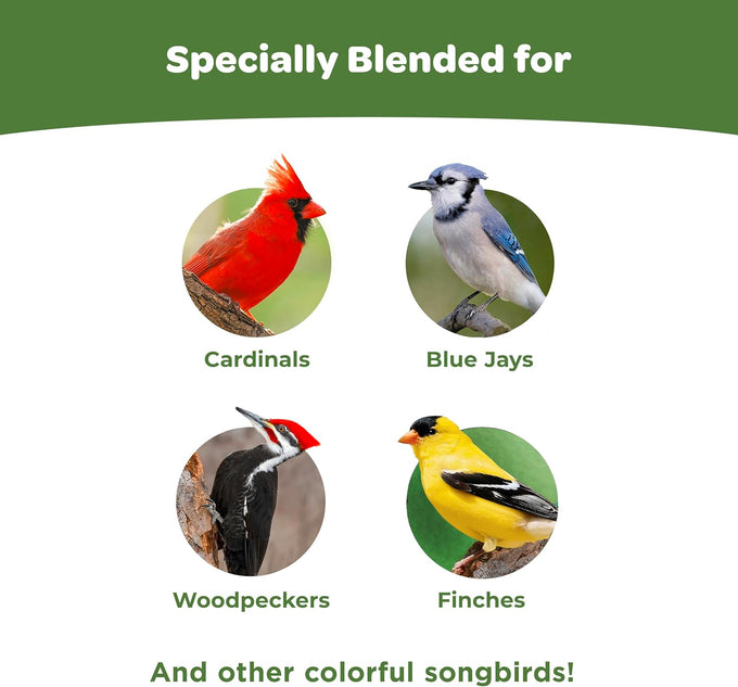 kaytee wild bird ultimate no mess seed mix for cardinals and colorful songbirds 9.75 lb