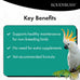 RoudyBush daily maintenance bird food, mini, 10-pound, parrot pellets for conures, lovebirds, and parakeets