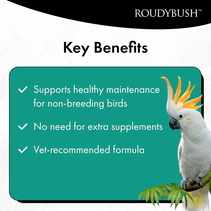 RoudyBush daily maintenance bird food, mini, 10-pound, parrot pellets for conures, lovebirds, and parakeets