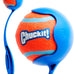 Chuckit! 12M Sport dog ball launcher for medium 2.5" balls, 20-60 lb dogs, 12" handle, made in USA, blue