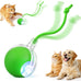 Red Red Interactive Electric Pet Ball Toy for Cats and Dogs with Motion Activation and USB Charging - 5-Inch Diameter