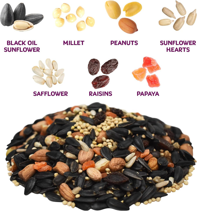 Audubon Park 8 lb Premium Bird Seed Blend with Sunflower, Peanuts, Safflower & Dried Fruit for Outside Bird Feeders