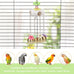 Bird Parrot Bells Toy for Budgie Parakeet Cockatiel Conure African Grey Lovebird with Sweet Sound