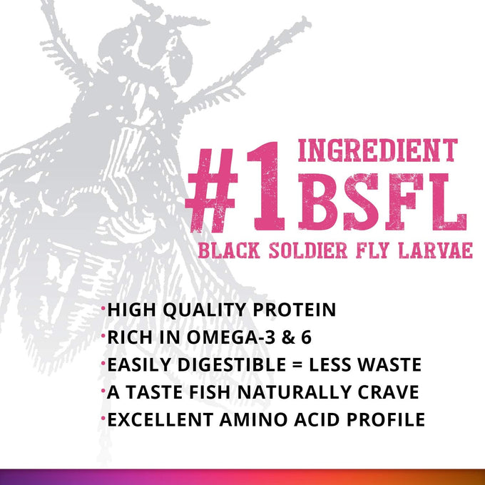 Fluval Bug Bites slow sinking granules for medium to large tropical fish, 4.4 oz, salmon and black soldier fly larvae
