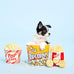 ZippyPaws Burrow - Interactive Dog & Puppy Toy for Boredom, Stimulating Pet Products, Small & Medium Dogs, Popcorn Bucket