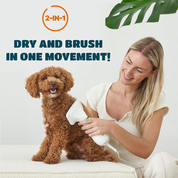 2-in-1 pet dryer with slicker brush for small dogs and cats, 300 watts, adjustable temperature