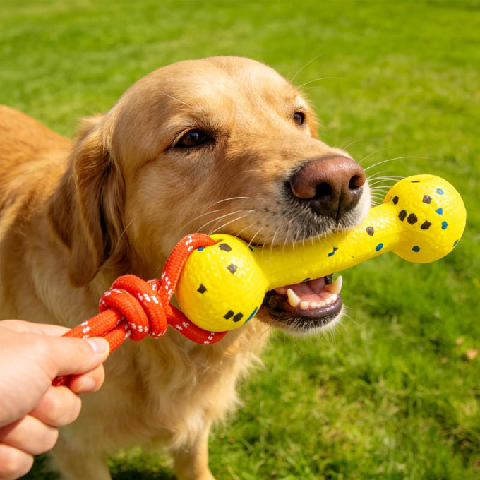 Expawlorer Floating Dog Toys 2 Pack, 7.9x2.4 inches ETPU Foam with Rope, for Water Fetch and Retrieving Games