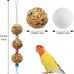 Bird toys, 2 pack, 3 natural cereal foraging balls, cage toys for parakeet, budgie, cockatiel, lovebird, green cheek, small to medium birds