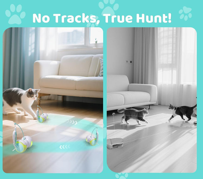 Remote Control Cat Toy with Auto Mode - Interactive Feather for Indoor Cats with LED and Catnip