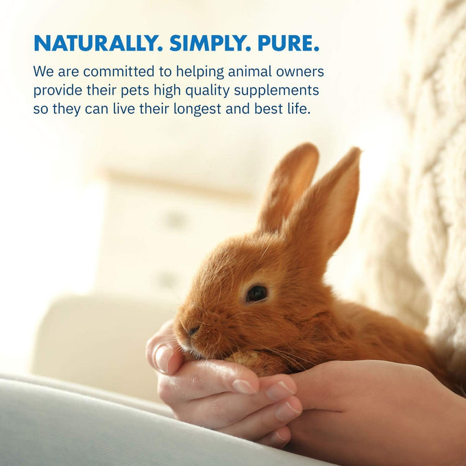 HealthyGut Probiotics for Rabbits 120 servings all-natural digestive system formula with 15 species of probiotic organisms