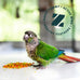ZuPreem FruitBlend Bird Food for Cockatiels, Quakers, Small Conures, Lovebirds, Lorikeets, Core Nutrition with Natural Fruit, 2 lb Bag, Medium Pellet Size