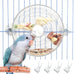 bnosdm pink creative bird feeder with seed food rotating wheel for parrot puzzle toys