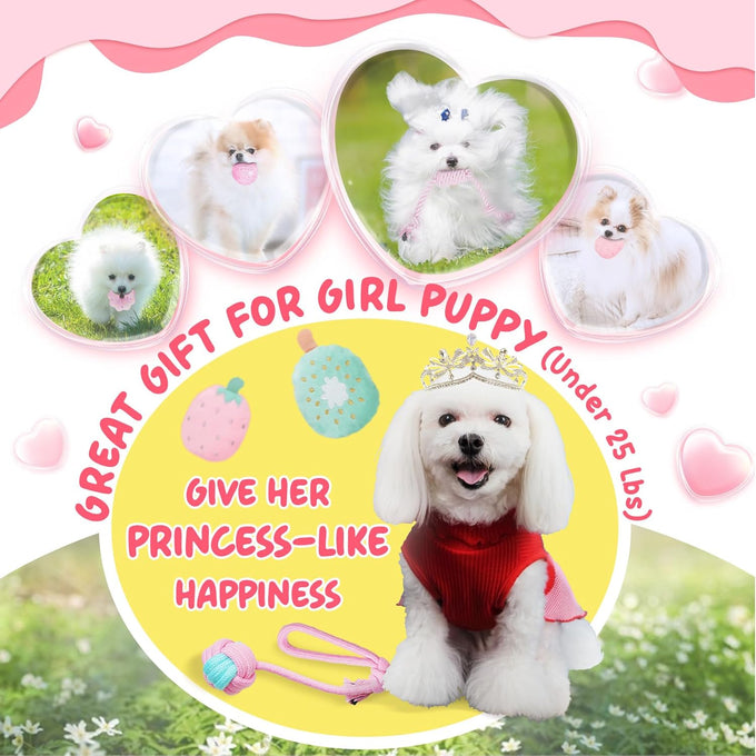 XIUGOAL 23 Pack Pink Puppy Toys for Female Puppies with Teething, Interactive Dog Toys and Ropes