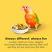 Kaytee Fiesta Conure Food, 4.5 pounds, Nutritious and Fun Blend for Skin, Feather, Digestion, Brain and Heart Health