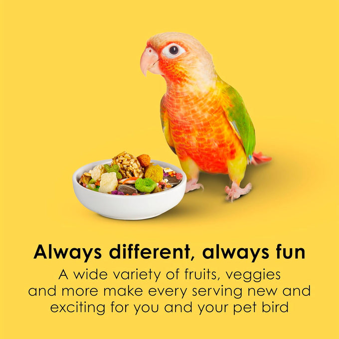 Kaytee Fiesta Conure Food, 4.5 pounds, Nutritious and Fun Blend for Skin, Feather, Digestion, Brain and Heart Health