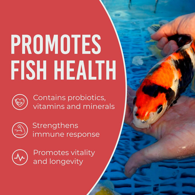 Blue Ridge Koi Fish Food 5lb - Large 3/16 inch Growth Formula for Koi, Goldfish, and Pond Fish