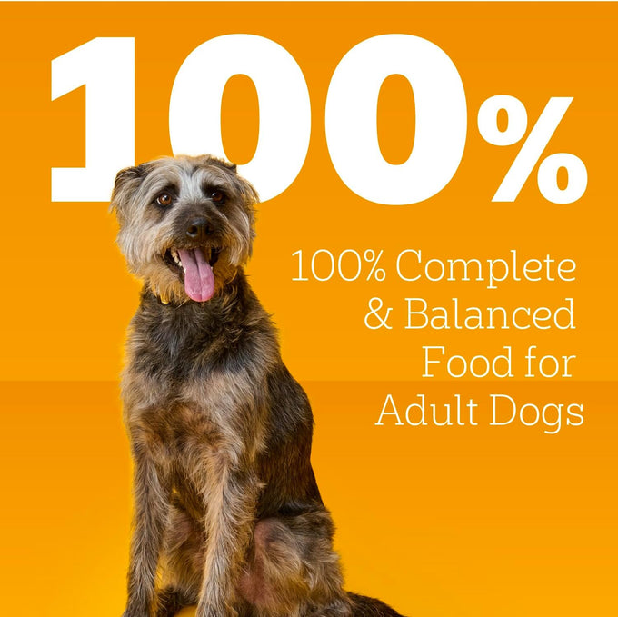 Pedigree Choice Cuts Adult Canned Wet Dog Food with Beef, 13.2 oz