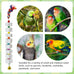 lava calcium bird beak grinding stone with bell hanging parakeet cage accessories for parrot budgies hamster