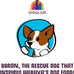 Weruva Dogs in The Kitchen Variety Pack Pouch Wet Dog Food