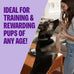 Wellness CORE Tiny Trainers Natural Grain-Free Dog Treats, Turkey and Pomegranate Recipe, 6 oz Bag, Bite-Sized Soft Rewards for All Breeds