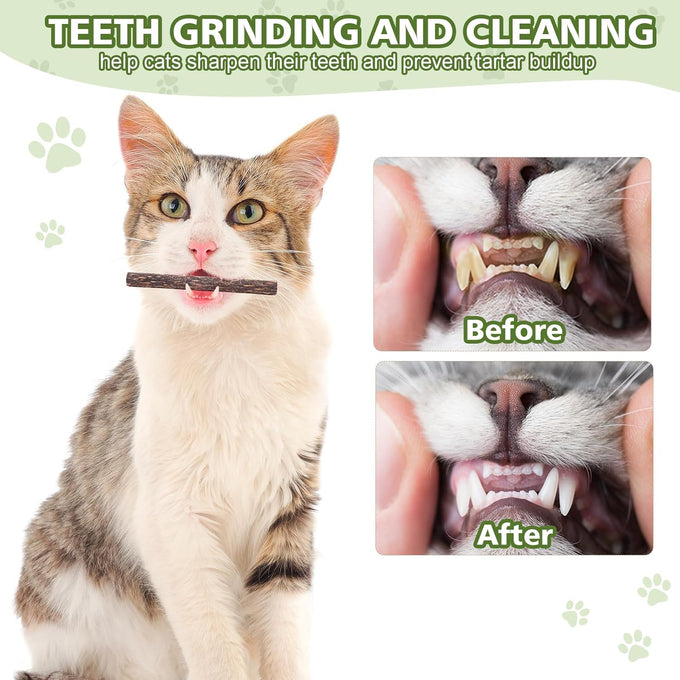 Wouseodo Natural Silvervine Sticks Cat Toy 6 Pack, Dental Care Teeth Cleaning,Matatabi Cat Nip Treat for Indoor Cats& Kittens