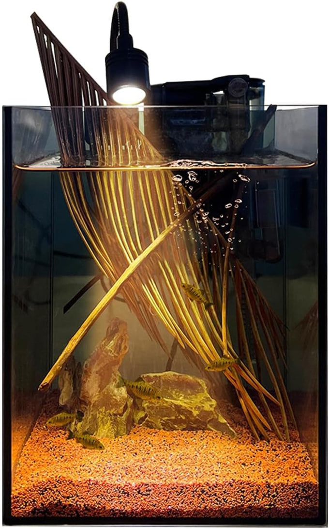 Small nano glass fish tank start kit with filter, LED light for shrimp, small fish, betta (1.5 gallon)