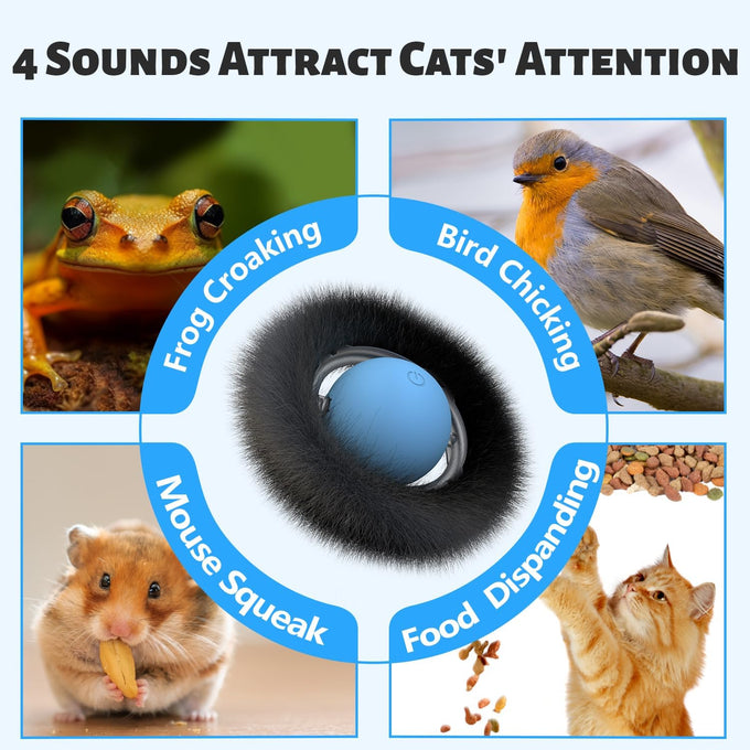 Orsda cat toys interactive hide and seek fast rolling ball motion chirping activated moving ball 7 holes mat mouse catching game