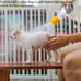 Portable orange outdoor shower attachment for most plastic water bottles