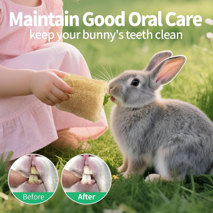 besnew natural loofah rabbit chew toys 100% edible for teeth health