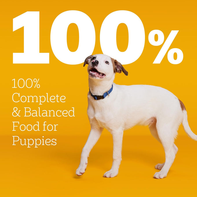 Pedigree Puppy Dry Food, Grilled Steak & Vegetable, 3.5 lb
