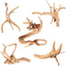 majoywoo Natural Coral Driftwood Assorted Branch 6-10" 3 Pcs Aquarium Decor Reptile Decorations