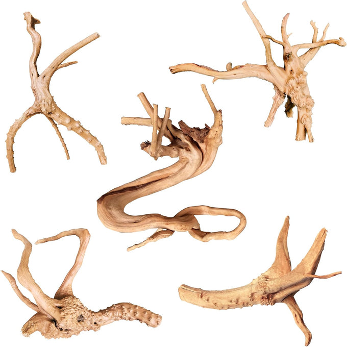 majoywoo Natural Coral Driftwood Assorted Branch 6-10" 3 Pcs Aquarium Decor Reptile Decorations