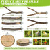 8 PCS natural apple wood bird perch set for small birds - parakeets, budgies, cockatiels - safe chew toys & climbing stand
