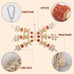 Parrot Chewing Toy 17.5 inches Natural Corn Cob Loofah Slices Rattan Balls Wood Beads