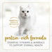 Purina Fancy Feast Gravy Lovers Variety Pack Wet Cat Food Pate in 4.5 lb. Boxes (Pack of 1)