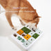 Barkwhiz dog puzzle toy with 3 levels, suitable for bored and smart dogs, treat puzzle for all breeds
