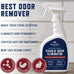 Rocco & Roxie Supply Co. Clear Pet Odor Eliminator Enzyme Cleaner for Home, 32 Fl Oz, Safe for All Carpets