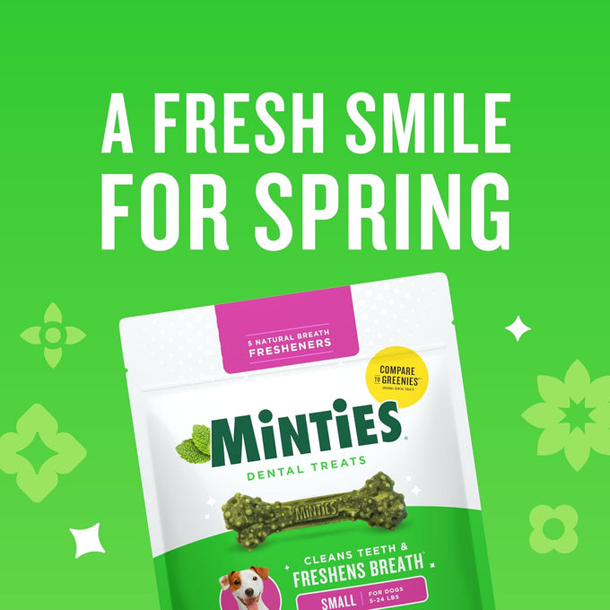 Vet-recommended minties dog dental bone treats, tiny/small dental dog treats for clean teeth and fresh breath, 80 count