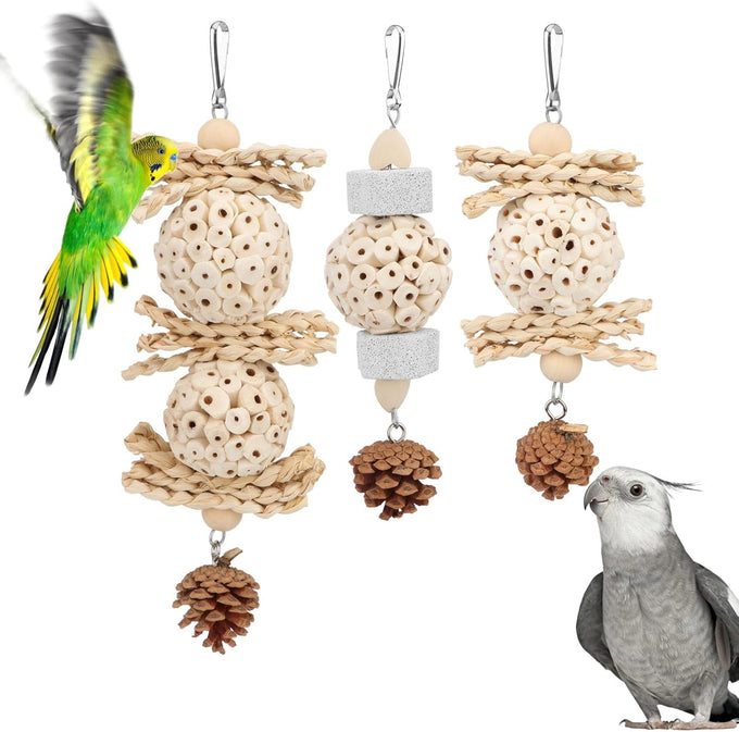 Wontee natural sola ball parrot foraging hanging toys, safe for cockatiels, conures, parakeets, budgies, senegal, 3 pack