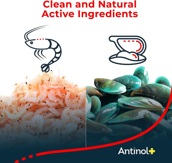 Antinol Plus Dog Joint Supplement with Green-Lipped Mussels and Krill Oil for Mobility and Health
