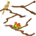 3PCS bird perch grape stick natural 100% safe non-toxic wild grapevine budgies cockatiels lovebirds