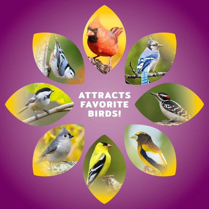 Audubon Park 8 lb Premium Bird Seed Blend with Sunflower, Peanuts, Safflower & Dried Fruit for Outside Bird Feeders