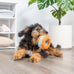 Chuckit! Indoor Fetch Roller Toy for Dogs - Orange and Blue Interactive Dog Toy