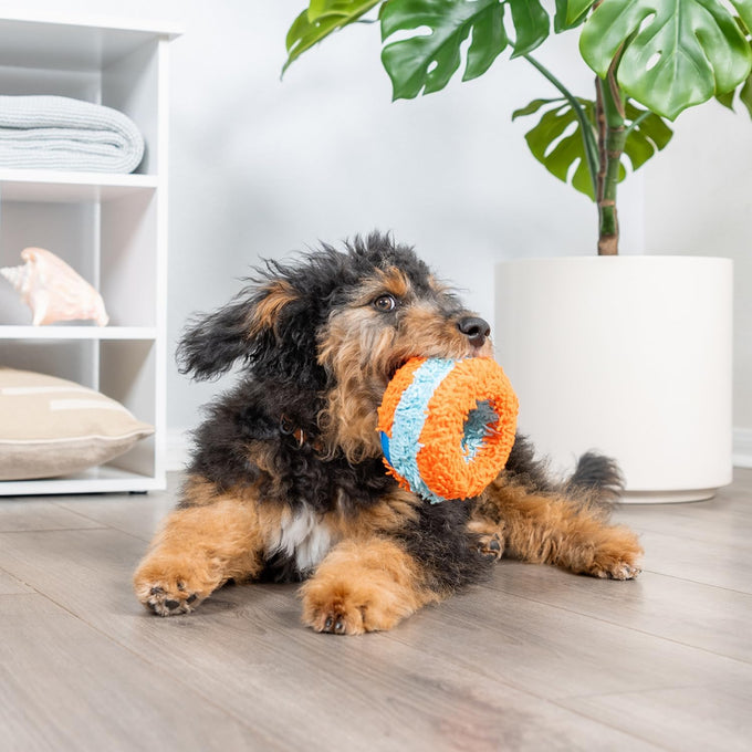 Chuckit! Indoor Fetch Roller Toy for Dogs - Orange and Blue Interactive Dog Toy