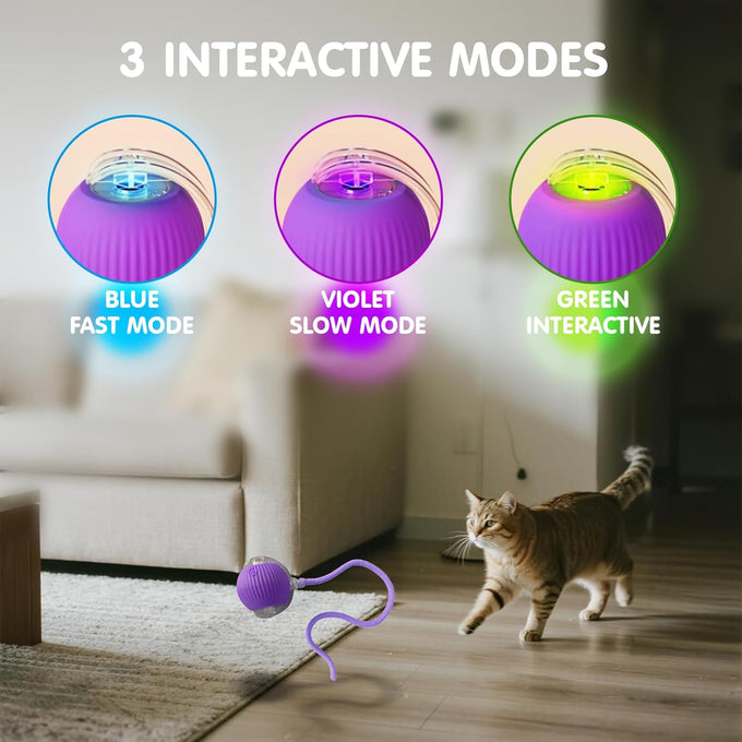 Rocfish Durable Interactive Cat Toy for Indoor Cats, Automatic Chase Ball Toy Purple