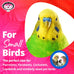 Super Bird Creations SB971 Xmas Crinkle Little Star Bird Toy, 6 inch, Small Bird Size, Festive Holiday Design