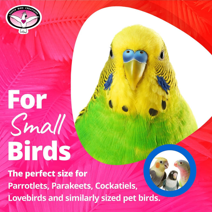 Super Bird Creations SB872 Mini Xmas Tree Bird Toy for Small to Medium Birds, 7" x 2"